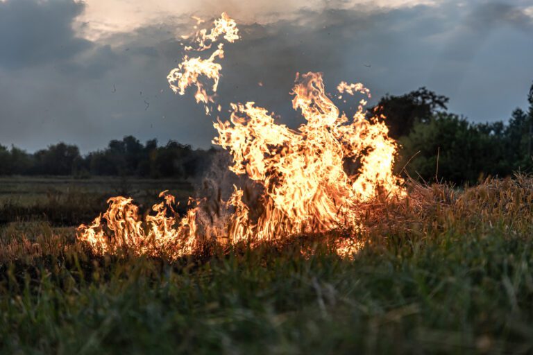 Lire la suite à propos de l’article Incendies dans les Pyrénées-Orientales : Comprendre les Garanties et Franchises de Votre Assurance